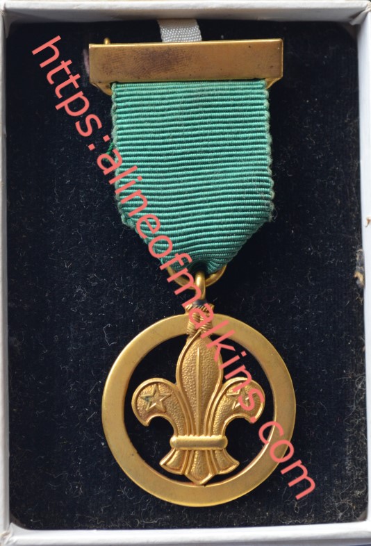 MALKIN_Edwin_I15-Boy_Scouts-Medal_of_Merit